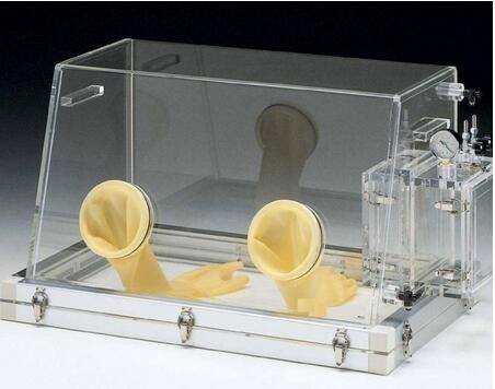 ���������׃�l���ճ���α��B(y��ng)��